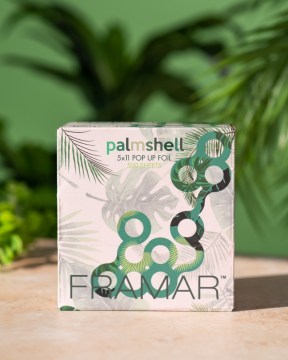 PalmshellLifestyle-4